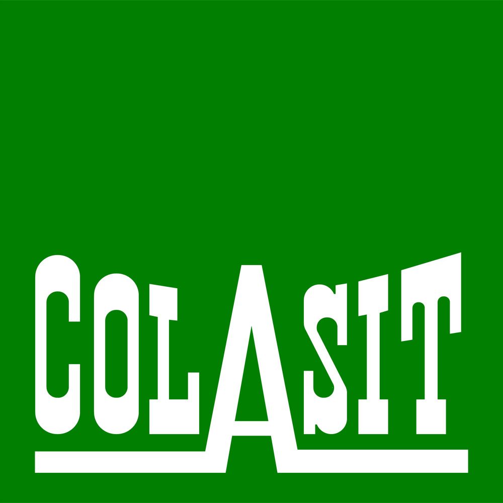 Elektro Frutiger GmbH